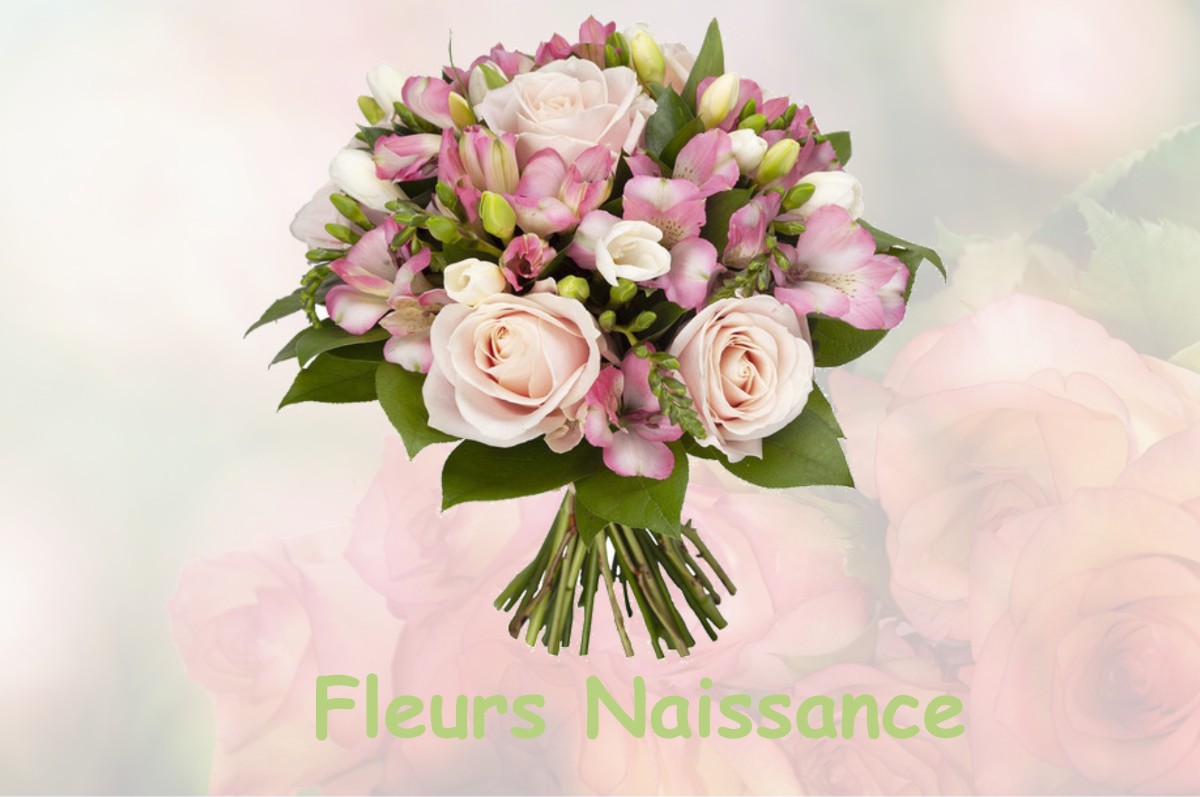 fleurs naissance LA-MOUILLE