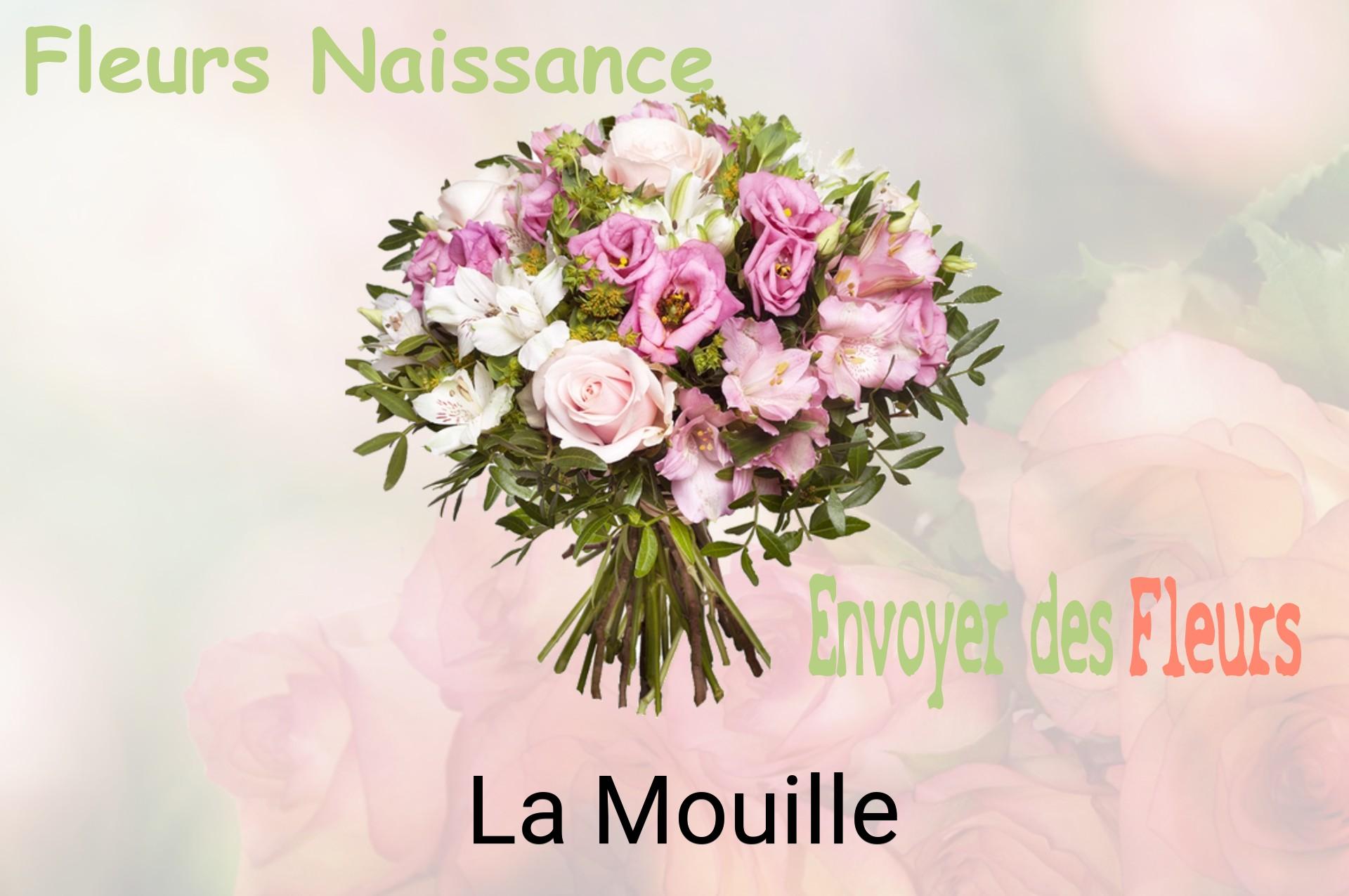 Bouquet de fleurs de naissance livré à La Mouille
