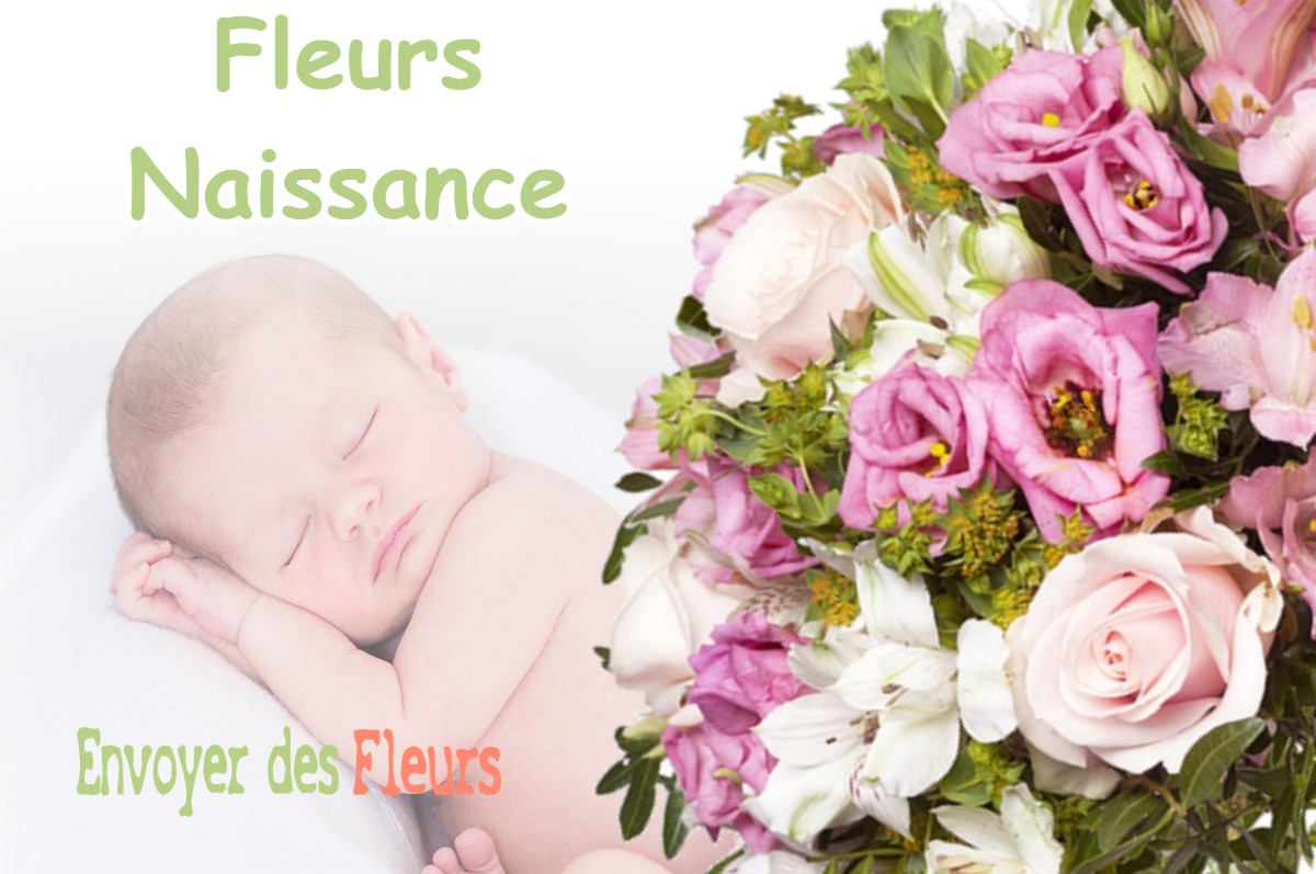 lIVRAISON FLEURS NAISSANCE à LA-MOUILLE